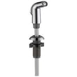 #RP74402 Side Spray & Hose Assembly in Chrome